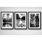 Set 3 Cuadros Paisajes En Blanco Y Negro Arboles Decoración