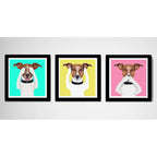 Set 3 Cuadros Perro Pop Art Colores Jack Russell Terrier Pet