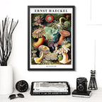 Cuadro Ernst Haeckel Biologia Zoologia Arte Lab Decoracion Actiniae Anémonas De Mar Marco Negro