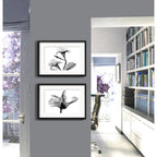 Set 2 Cuadros Flor Minimalista Blanco Y Negro Con Paspartu