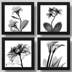 Set 4 Cuadros Flores Minimalista Floral Arte Blanco Y Negro