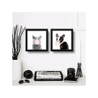 Set 2 Cuadros Perro Gato Chicle Mascota Pet Decoracion Hogar