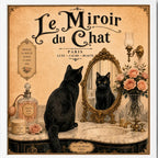 Cuadro Para Decoracion Bano Gato Negro Paris Espejo 33x33cm Marco Blanco