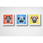 Set 3 Cuadros Perro Pug Pop Art Breaking Bad Pet Decoracion