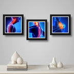 Set 3 Cuadros Ortopedia Rayos X Cuerpo Humano Clinica Medica