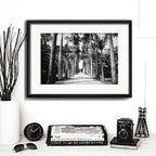 Cuadro Rio De Janeiro Fotos Blanco Negro Brs8 Con Paspartú Jardín Botánico Palmeras Con Marco Negro