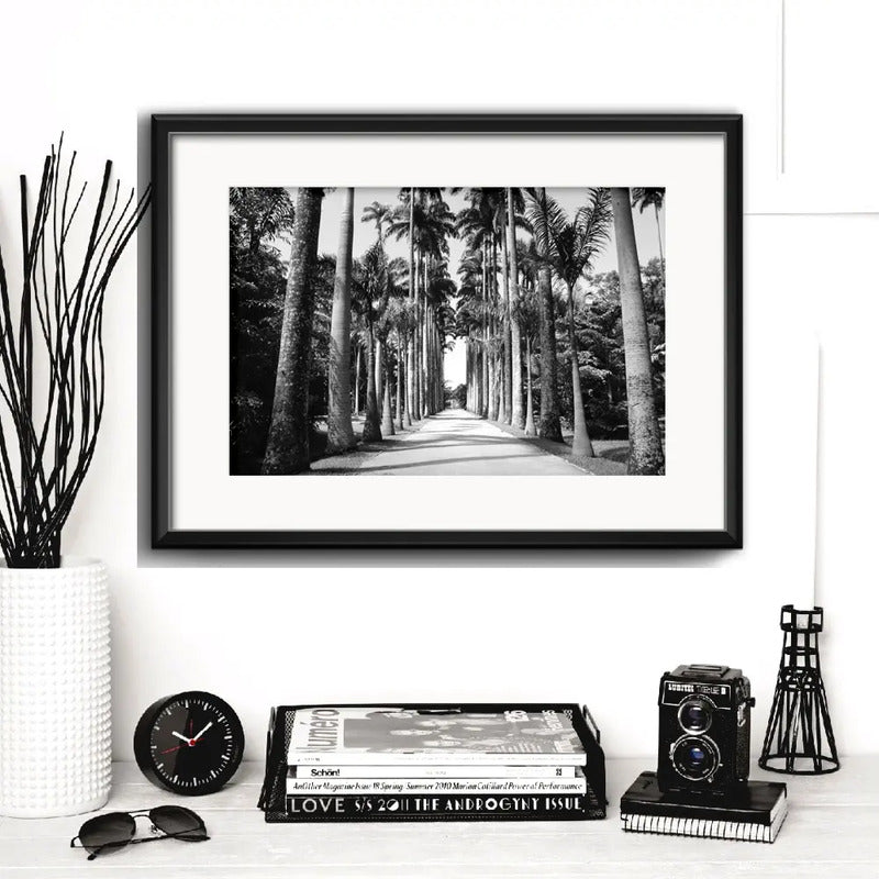 Cuadro Rio De Janeiro Fotos Blanco Negro Brs8 Con Paspartú Jardín Botánico Palmeras Con Marco Negro