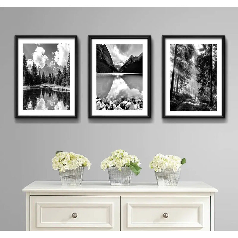 Set 3 Cuadros Paisajes En Blanco Y Negro Arboles Decoración