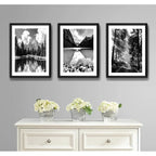 Set 3 Cuadros Paisajes En Blanco Y Negro Arboles Decoración