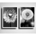 Set 2 Cuadros Diente De Leon Blanco Y Negro Taraxacum Flores