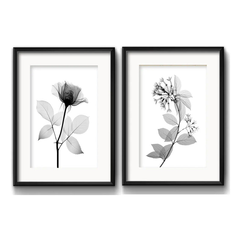 Set 2 Cuadros Flores Minimalista Blanco Y Negro Con Paspartu