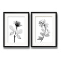 Set 2 Cuadros Flores Minimalista Blanco Y Negro Con Paspartu