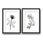Set 2 Cuadros Flores Minimalista Blanco Y Negro Con Paspartu