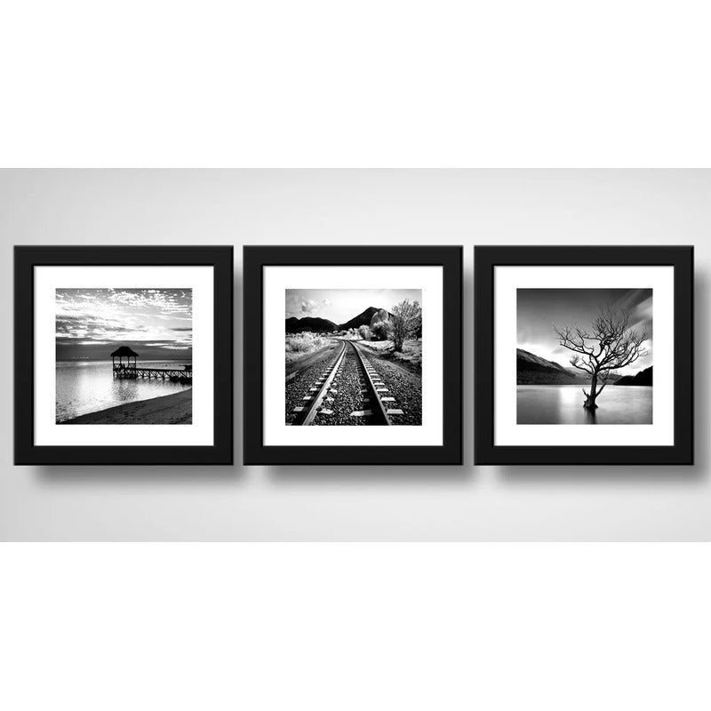 Set 3 Cuadros Paisajes Blanco Y Negro Arból Arte - 33x33cm Marco Negro